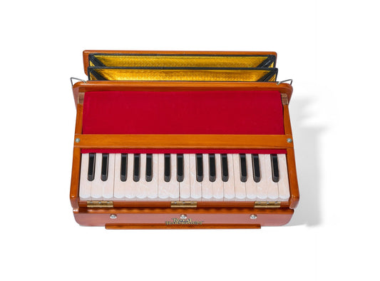 The Harinam Harmonium